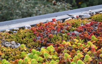 the cost of Holcombe Brook green roof installation