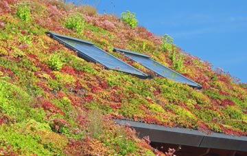 Holcombe Brook living roof systems