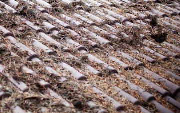 Holcombe Brook roof cleaning companies